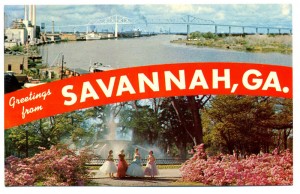 savannah017